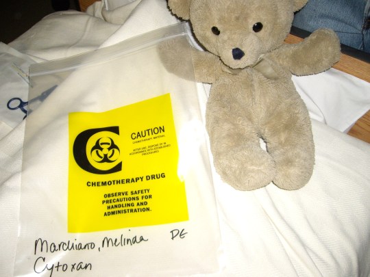 Bear and Chemo Bag